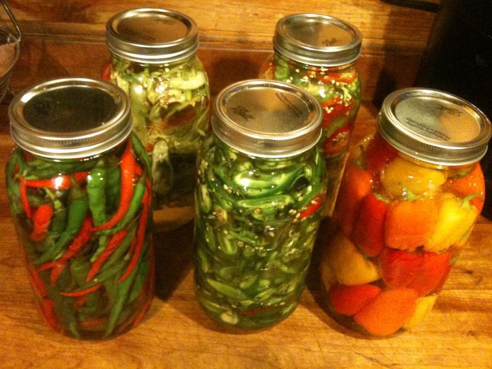 Jars of home-pickled peppers on a wooden shelf